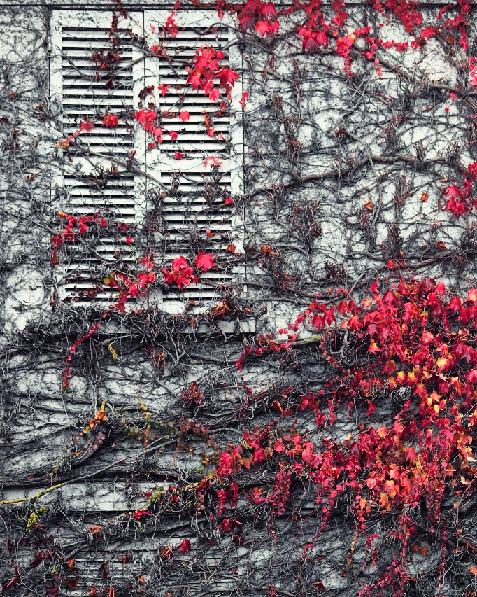 Stage initiation à la photographie yvelines : Centre village des Mesnuls - Yvelines © Laurent Delisle